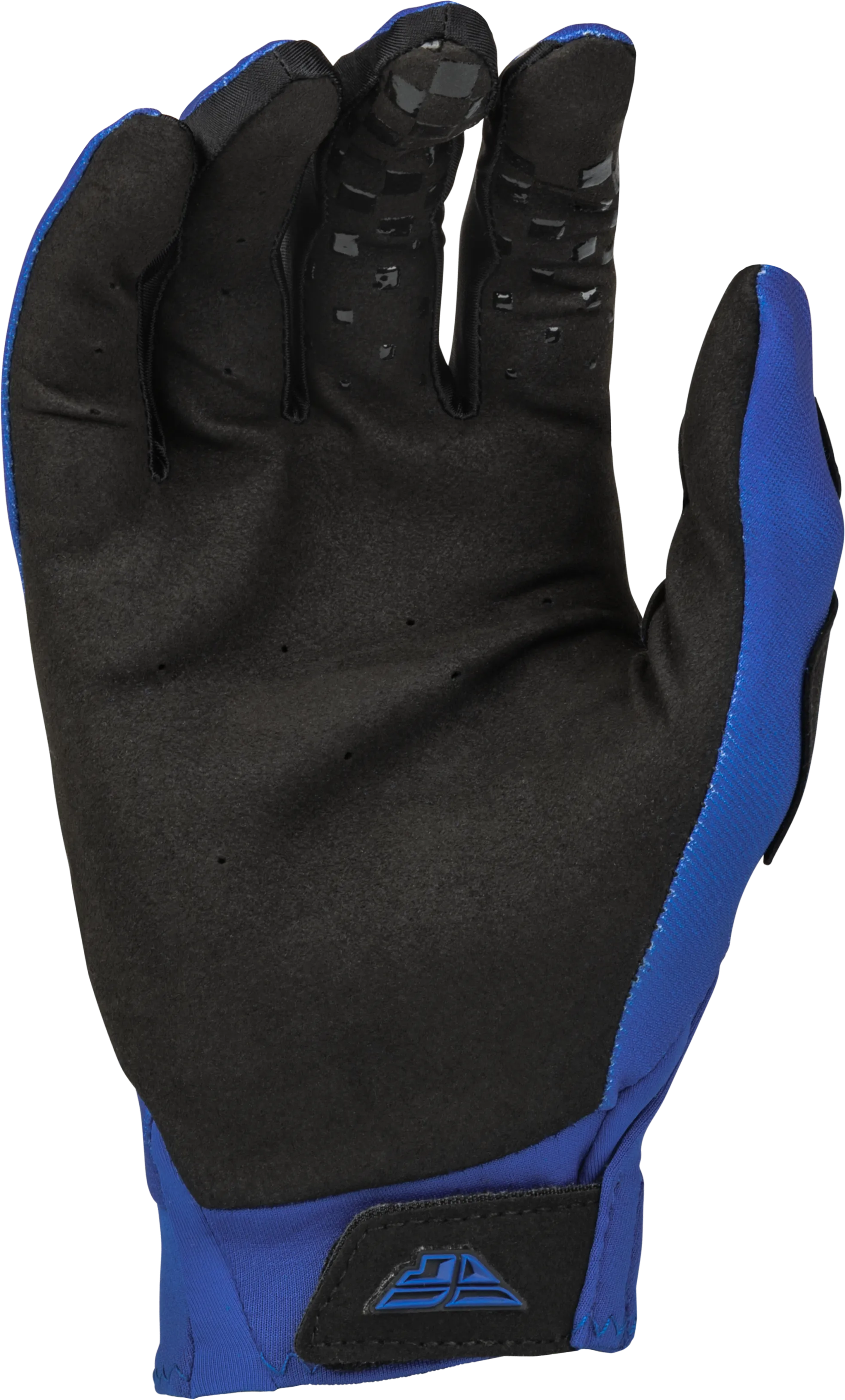 Fly Racing 2022 Adult Pro Lite Gloves