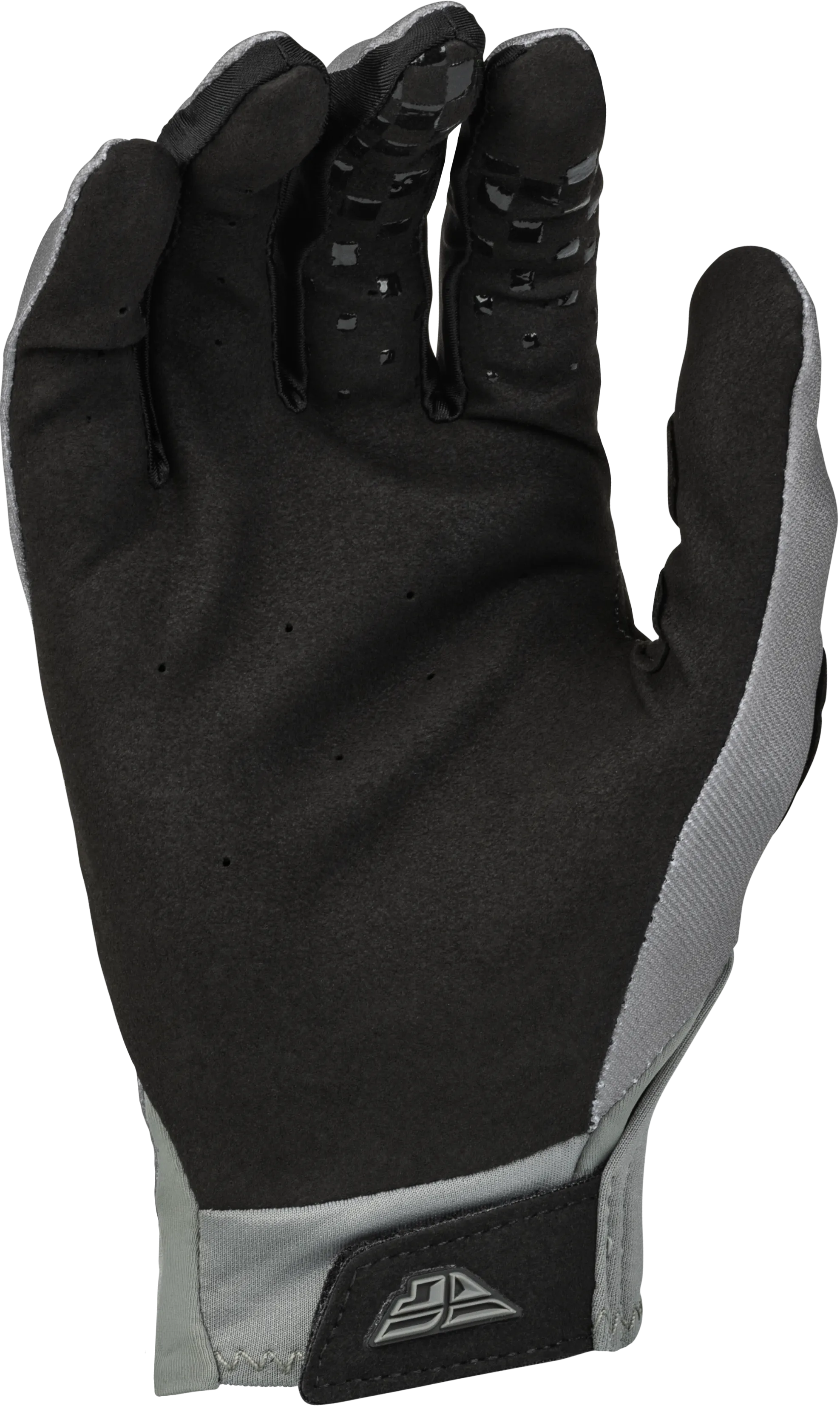 Fly Racing 2022 Adult Pro Lite Gloves