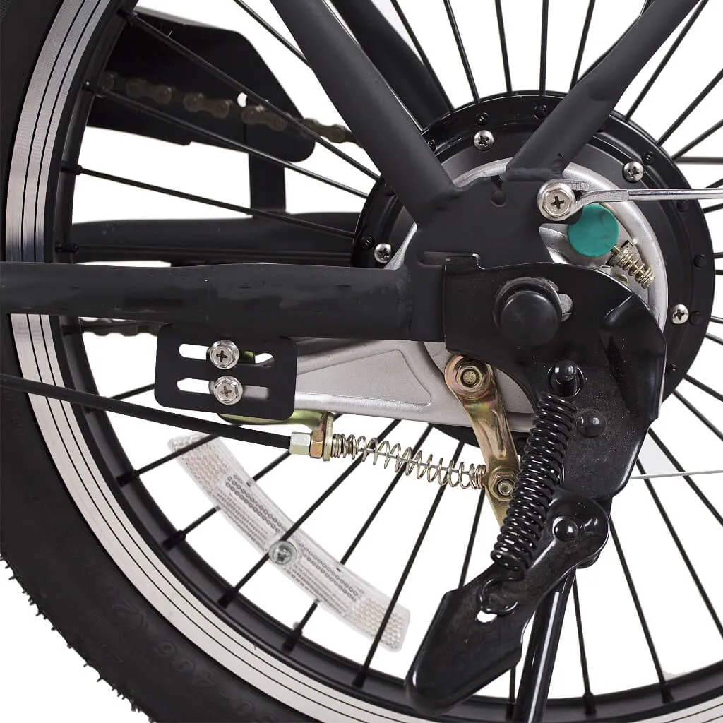 Nakto Fashion 20” Folding Electric Bike, 250W 36V