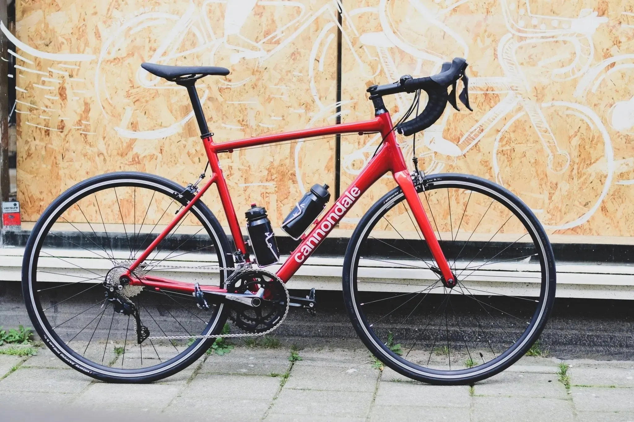 Road Bike Rental