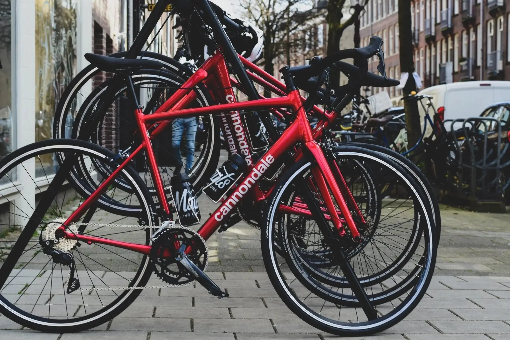 Road Bike Rental