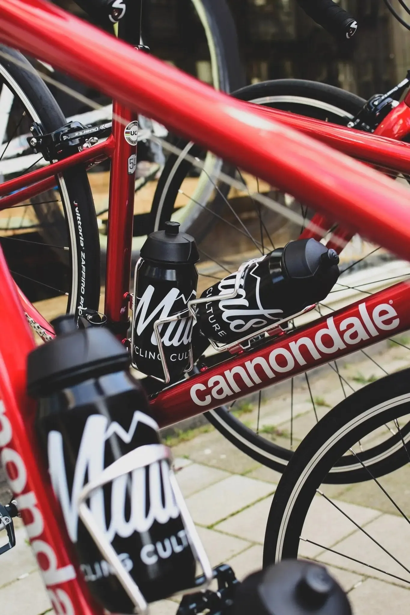 Road Bike Rental